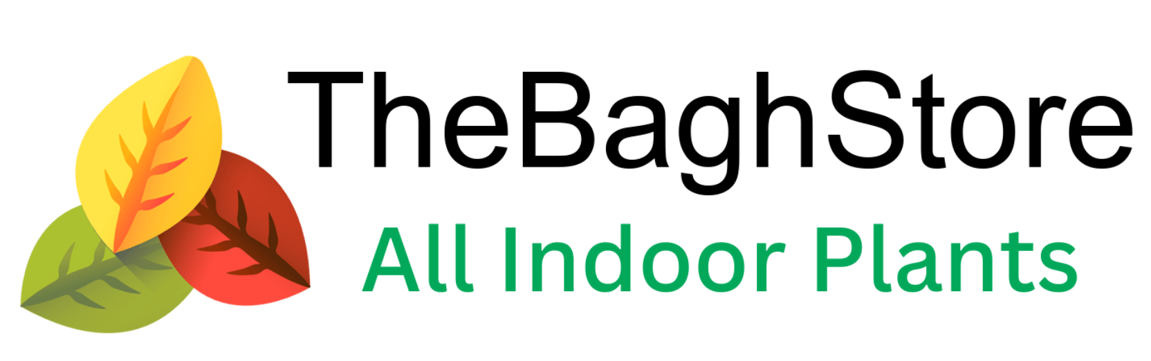 TheBaghstore - All Indoor Plants