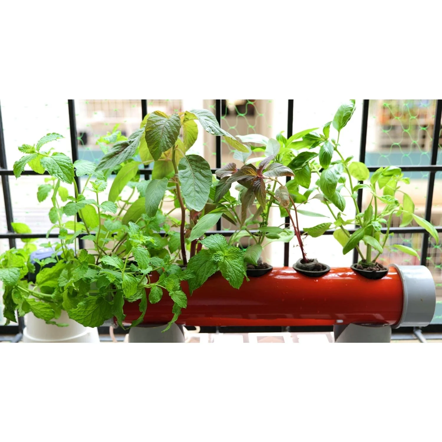 indoor hydroponic garden